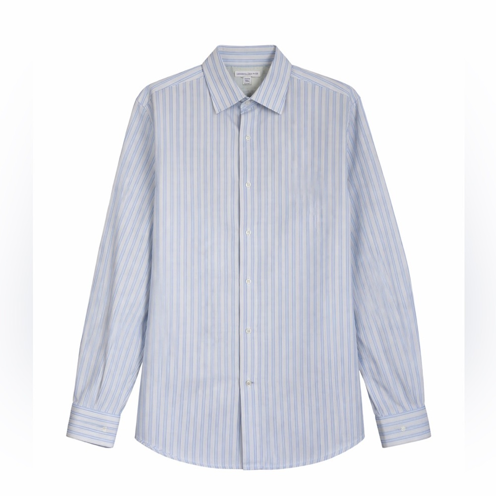 Banana Republic Blue and White Striped Dress Shirt